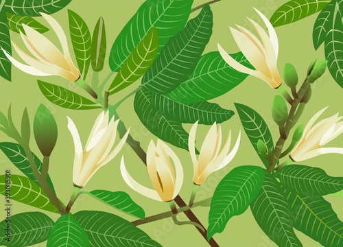 Beautiful flower, illustration of yellow michelia alba flower or michelia champaca flower with green leaves and fruits on tree branch.