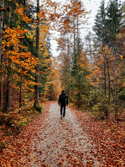 Vertical shot of a man hiking in a pathway surrounded by autumn trees in a forest