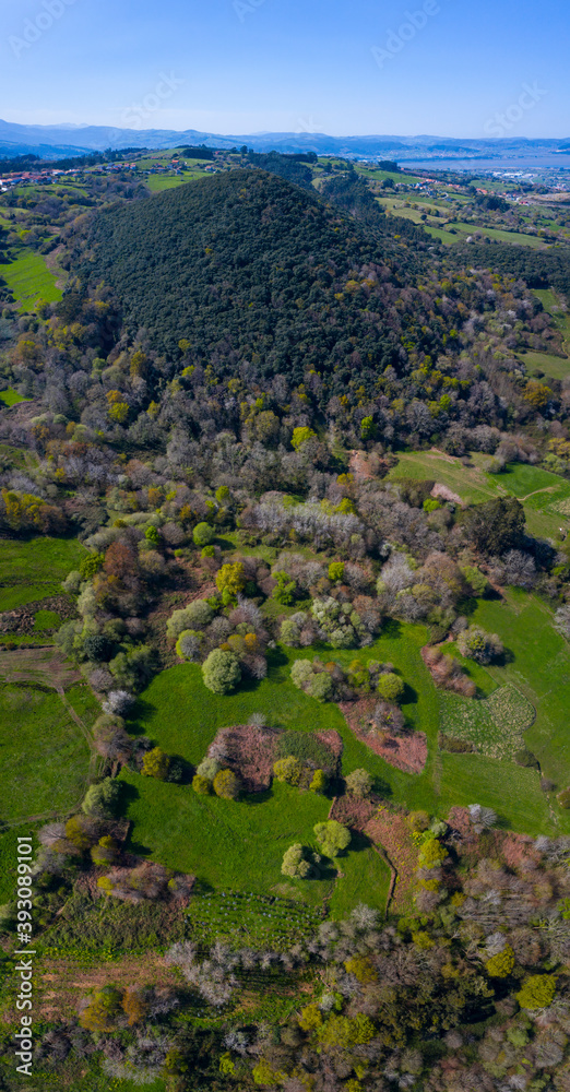 Obraz premium Springtime, Tarrueza, Laredo, Montaña Oriental Costera, Cantabria, Spain, Europe