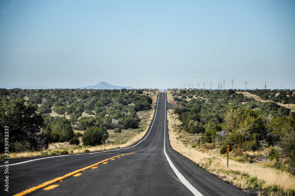 Very lonely landscape with some trees on each side of the road without any clouds in the sky, close to Flagstaff Arizona