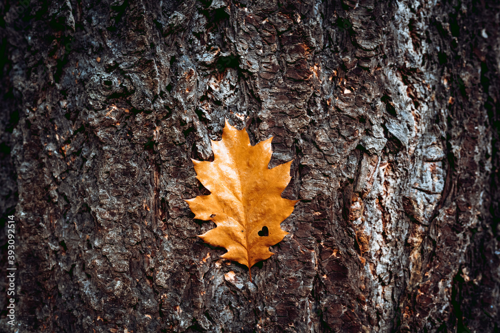 Herbstblatt mit Herz 