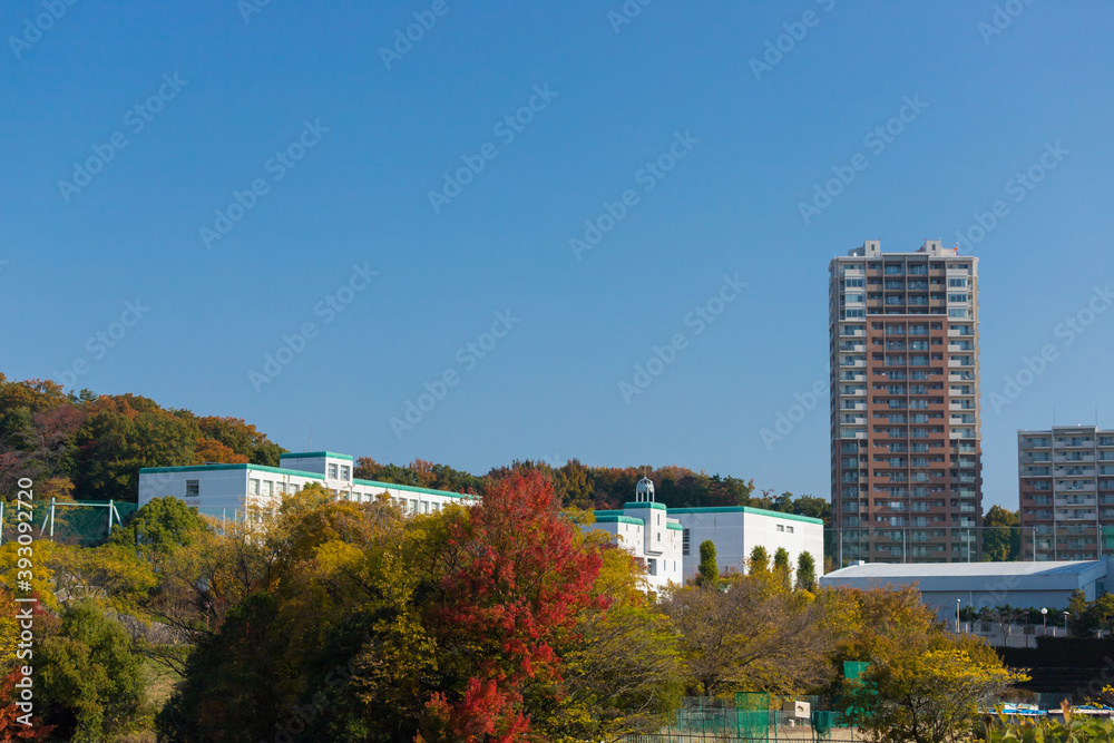 Obraz premium 秋の紅葉と街風景