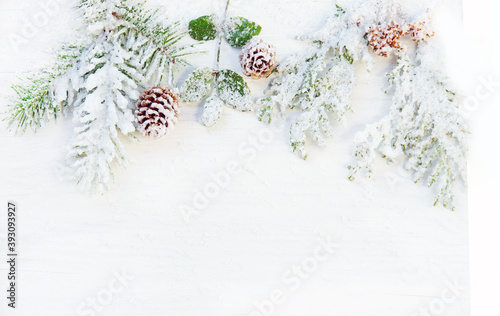 Christmas or winter themed background with snowy fir branches, copy space