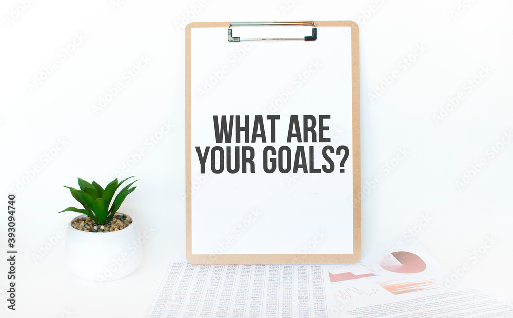 Top view notebook, pen and plant potted on white wood desk background. Lifestyle, business finance, education technology concept. Copy space. Text What Are Your Goals