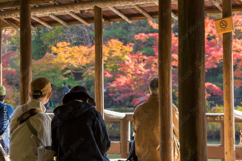 秋の公園の休憩場で紅葉を鑑賞している人々 秋の公園の休憩場で紅葉を鑑賞している人々