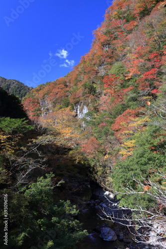 べふ峡 美しい自然景観 秋 （高知県）