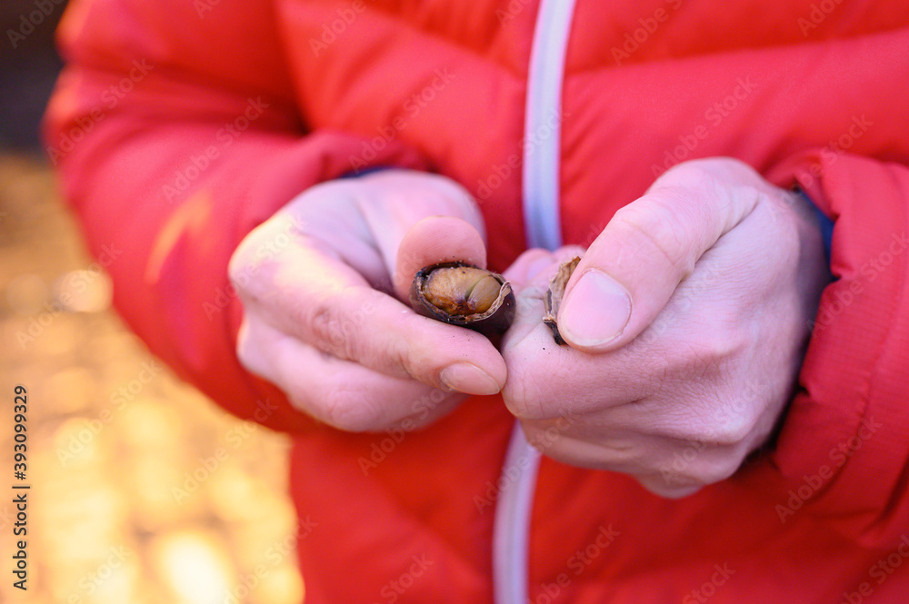 edible roasted red chestnuts in the hands of a man on the street. winter gourmet food