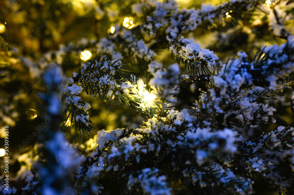 Christmas tree branches in the snow and glowing lights of Golden color garlands at night Christmas tree branches in the snow and glowing lights of Golden color garlands at night