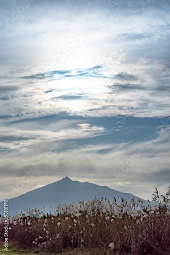 ススキの群生と青空の中の岩木山
