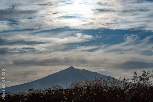 ススキの群生と青空の中の岩木山
