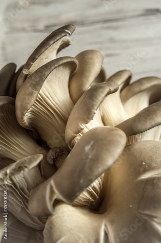 Oyster mushrooms on the wooden board, fresh food