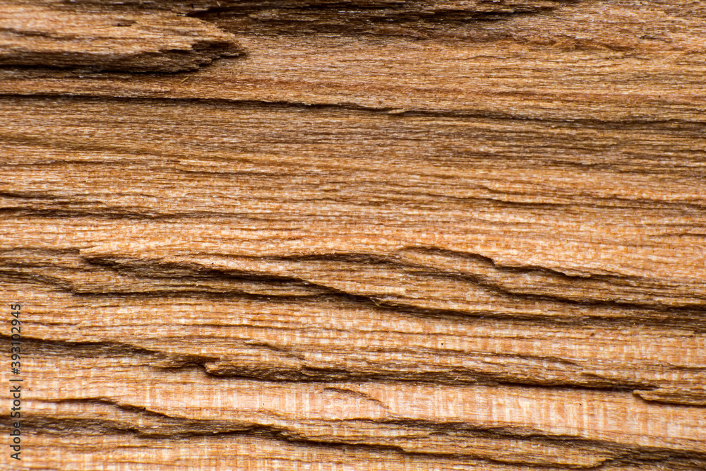 Fototapeta premium texture of a log or log split across, macro shot, wood fibers are visible