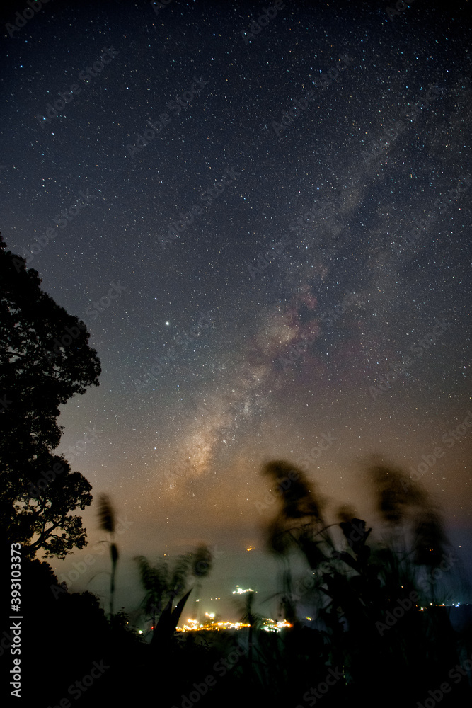 Beautiful natural And  Milky Way Star  At Doi Pui Chiang Mai, Thailand.