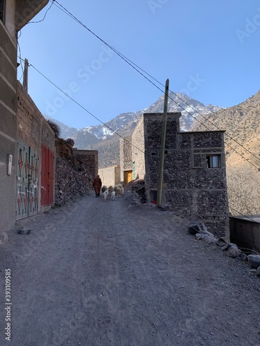 Wallpaper Mural Shepherd in the mountains  Torontodigital.ca