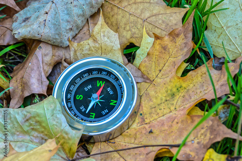 Compass on fallen leaves.
