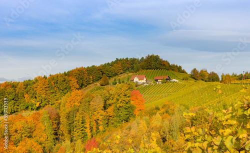 Autumn landscape with South Styria vineyards  known as Austrian Tuscany  a charming region on the border between Austria and Slovenia with rolling hills  picturesque villages and wine taverns
