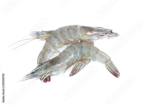 raw shrimp isolated on white