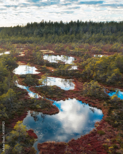 Small lakes in the middle of a swamp in autumn, a nature reserve Boloto Ozernoye in the Leningrad region photo