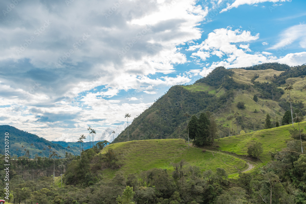 Valle de Cocora, Salento, Quindío, Colombia