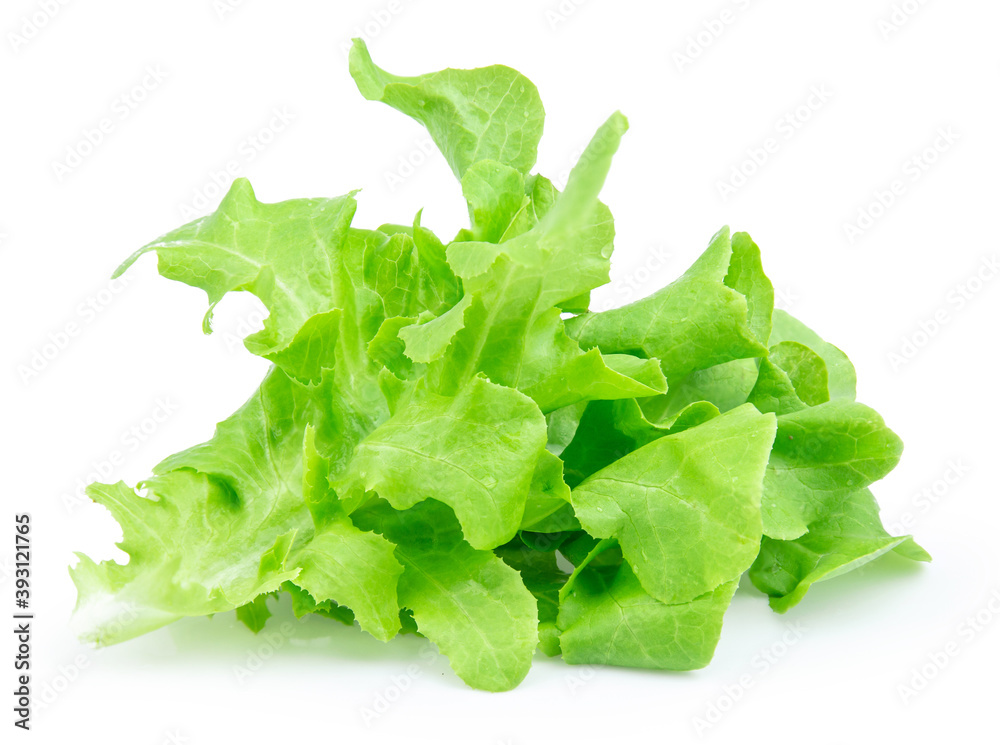 green fresh lettuce isolated on white background green fresh lettuce isolated on white background
