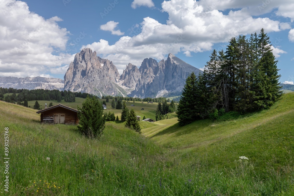 Seiser Alm, Dolomites alps landscapes at day timen with stunning mountain range