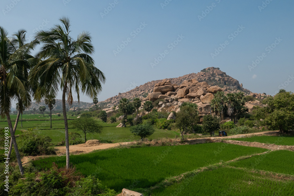 Palm trees and huge rocks amazing view in Hampi India