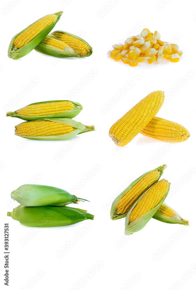 Corn collection isolated on white Corn collection isolated on white