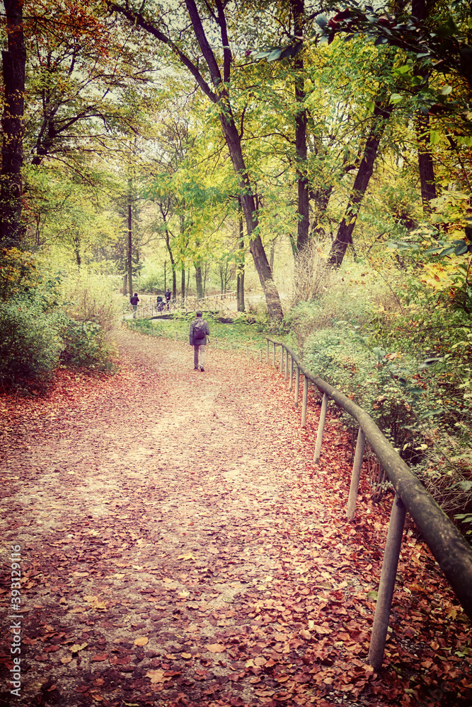 Munich Englischer Garten in autumn, people take a walk along a path covered by fallen leaves