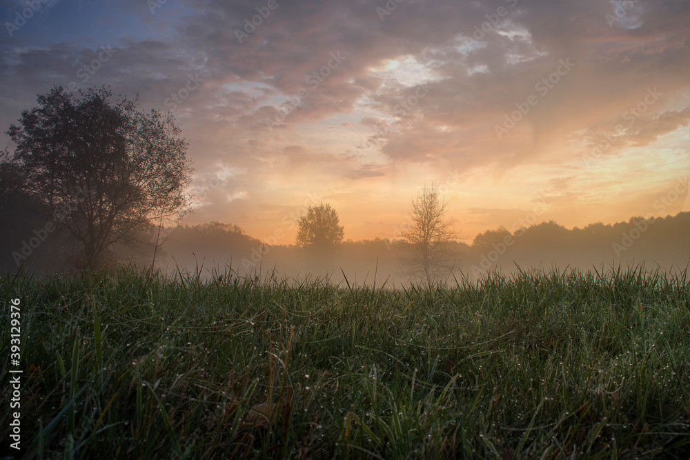 Bright and colorful sunset in Kampinos National Park, Poland. The grass is already covered with dew and the fog is starting to rise. Bright and colorful sunset in Kampinos National Park, Poland. The grass is already covered with dew and the fog is starting to rise.