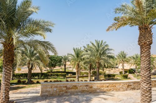 Green palm trees growing in the park in the Ruins of Diraiyah, also as Dereyeh and Dariyya, a old town in Riyadh, Saudi Arabia photo