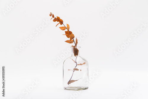 Dry color grass flower in a bronze classic vase for interior decoration. Studio shot and isolated on white background