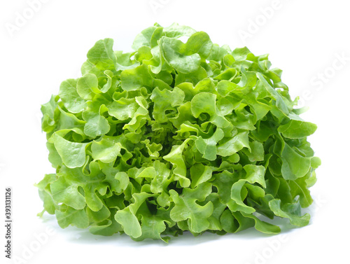 Green oak lettuce on white background photo