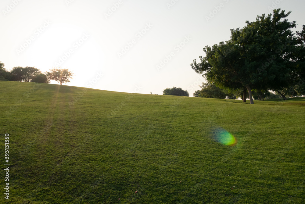 Fototapeta premium golf course in the morning