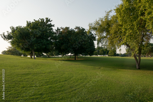 path in the park