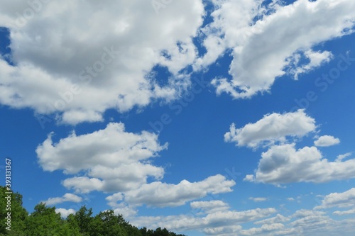 Beautiful blue sky with clouds over the forest © natalya2015