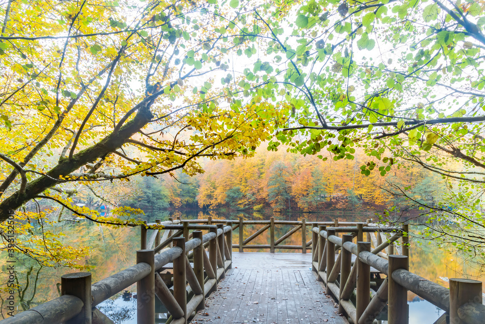 Autumn colors. Colorful fallen leaves in the lake. Magnificent landscape. Natonial Park. Yedigoller. Bolu, Istanbul, Turkey.