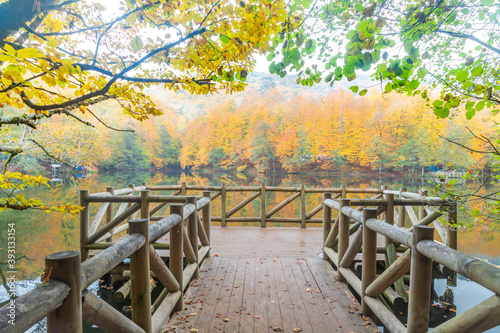 Autumn colors. Colorful fallen leaves in the lake. Magnificent landscape. Natonial Park. Yedigoller. Bolu, Istanbul, Turkey. © stocktr