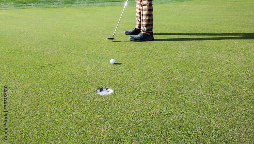 Obraz premium Golfer putting on a perfect golfing green towards the hole