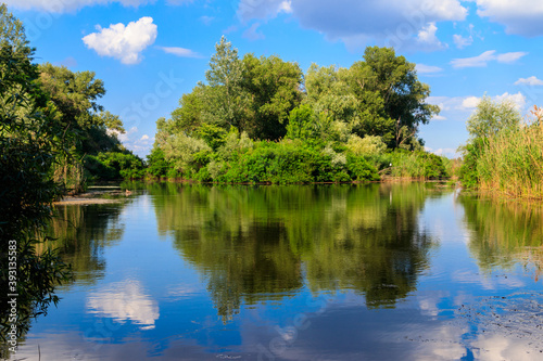 Summer landscape with beautiful river, green trees and blue sky © olyasolodenko