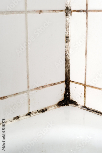 Mould in a bathroom.