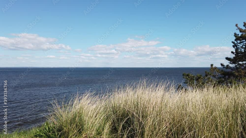 landscape at the Ringkobing Fjord, Denmark landscape at the Ringkobing Fjord, Denmark