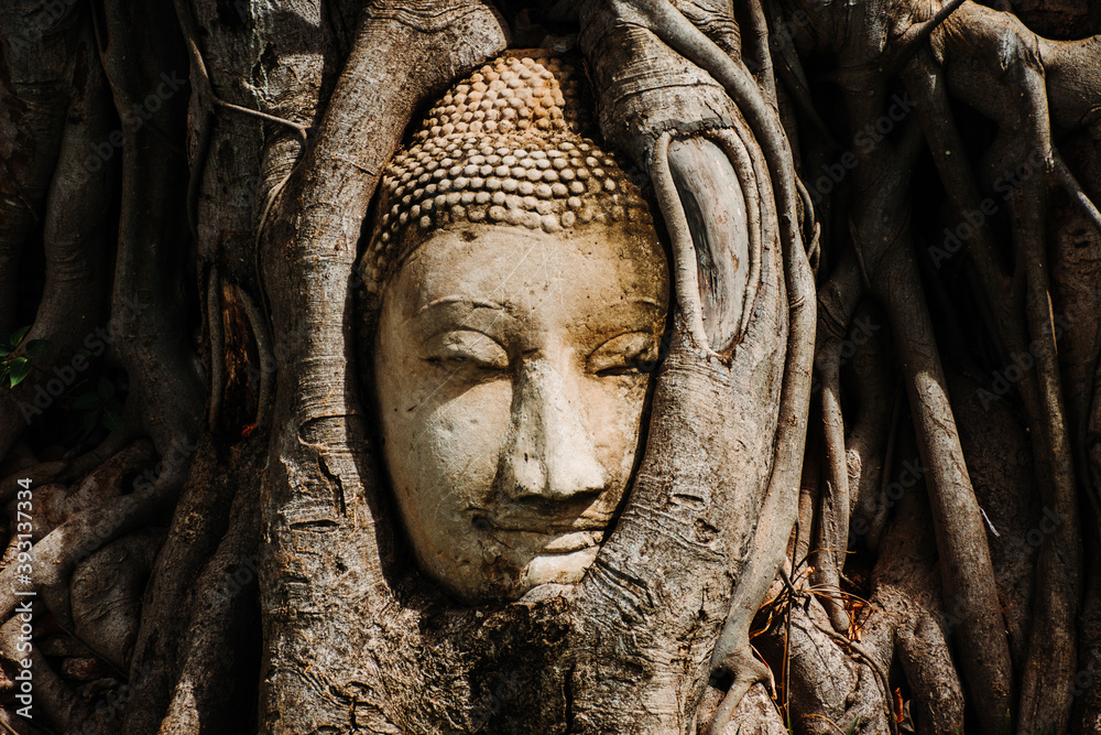 Close up image of ancient Buddha head statue with trapped in Bodhi Tree roots at Mahathat Temple Ayutthaya historical park thailand.