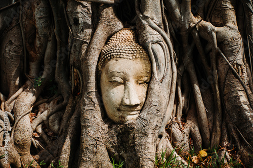 Ayutthaya Buddha Head statue with trapped in Bodhi Tree roots at Wat Mahathat temple is favorite place of Ayutthaya and world heritage. photo