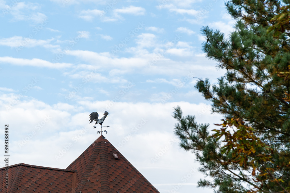 Metal weather vane in the shape of a rooster on the roof of a house against a blue sky with clouds and pines Metal weather vane in the shape of a rooster on the roof of a house against a blue sky with clouds and pines