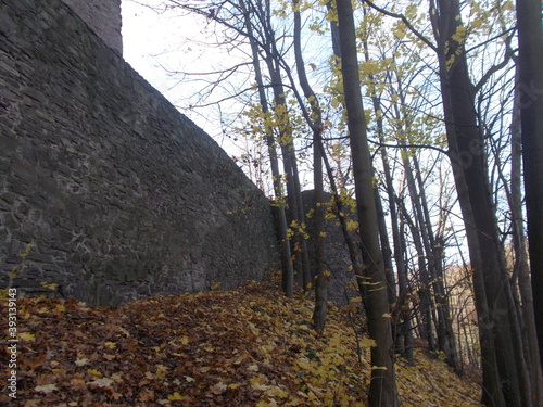 Zamek w Świnie