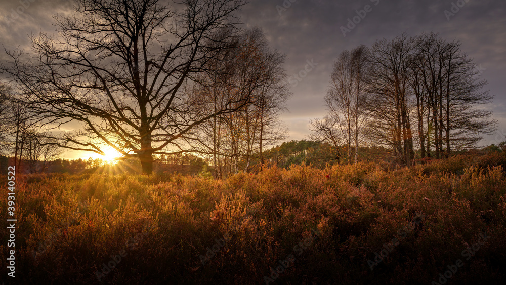 Autumnal landscape panorama at sunset 