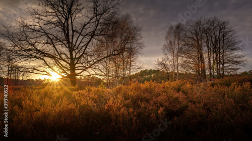 Autumnal landscape panorama at sunset 