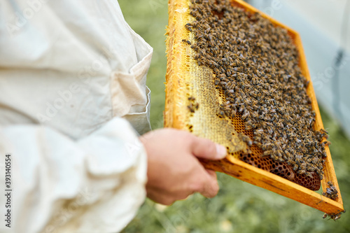 confident caucasian male beekeeper working to collect honey. organic beekeeping in rural area concept