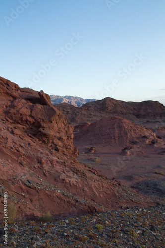 Desert landscape at sunset. Beautiful view of the red sand, sandstone, canyon, valley and mountains with a beautiful golden hour light, in Talampaya national park, La Rioja, Argentina.