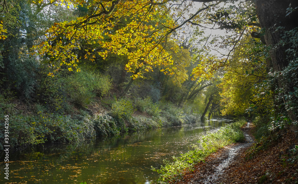 Basingstoke Canal Autumn